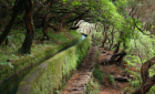 Walking Tour along Levada Rabaçal – 25 Fountains in Madeira!