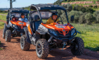 Buggy Tour in Silves in 90 minutes - Individual