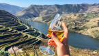 Douro Valley Private Tour (All Inclusive)