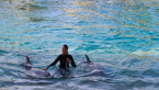 Swimming with Dolphins on the island of Sao Miguel!