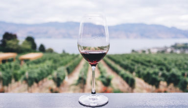 wine tasting in azores