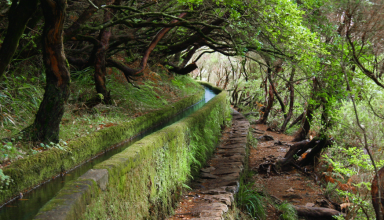 Walking Tour along Levada Rabaçal – 25 Fountains in Madeira! #3