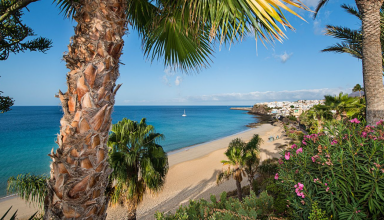 Fuerteventura (Spain) with direct flight from Porto - 7 days #2