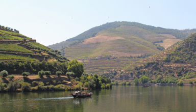 Private boat tour in the Douro with wine tasting #1