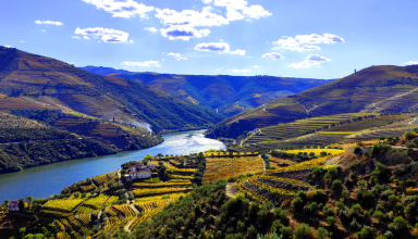 Private boat tour in the Douro with wine tasting #3