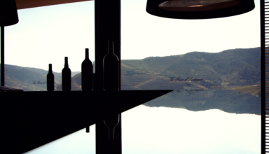 Visit to Quinta do Seixo with Douro DOC wine tasting #3