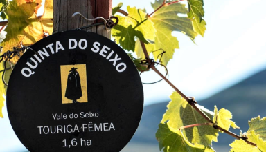 Visit to Quinta do Seixo with Douro DOC wine tasting #4