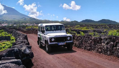 Pico Wine Tour - Shared Jeep Tour #1