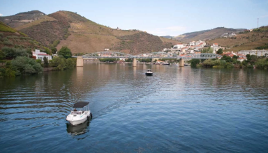 Private Luxury Tour in the Douro #5