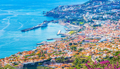 The Eternal Pearl of the Atlantic: Best of Madeira in 5 Days #5