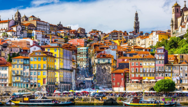 Half-Day Private Walking Tour to Porto #1