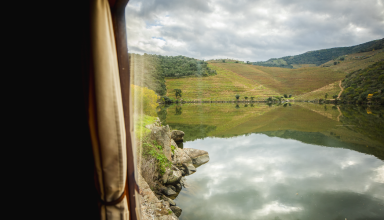 PRESIDENCIAL Train by the wonders of Porto and Douro Valley #2