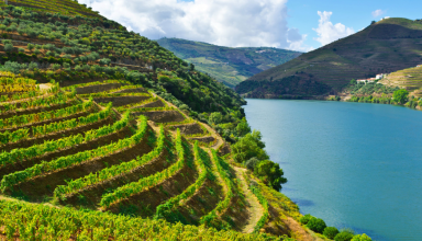Best of Porto & The PRESIDENCIAL Train by the Wonders of Douro Valley #4