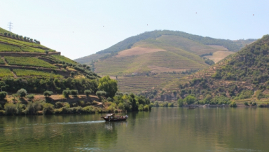 Private boat tour in the Douro with wine tasting