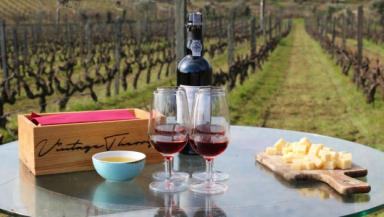 Private Wine Tour in Douro Valley