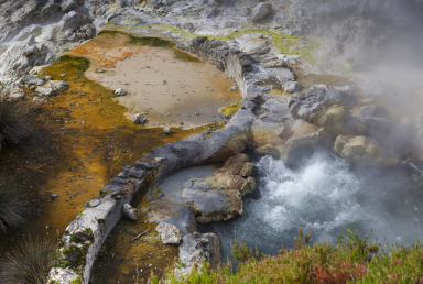 Day 2 - Watch the natural spectacle of Furnas