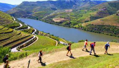Tour Privada ao Vale do Douro (Tudo Incluído) #2