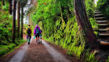 Caminhada nas Sete Cidades - Açores #2