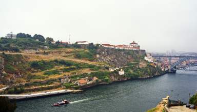 Tour de barco no Douro com prova de vinhos #2