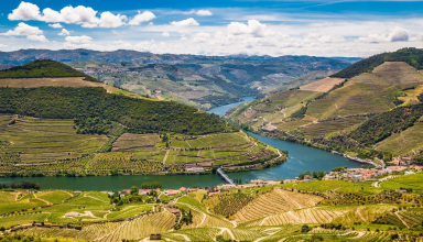 Tour Privado de barco no Douro com prova de vinhos #5
