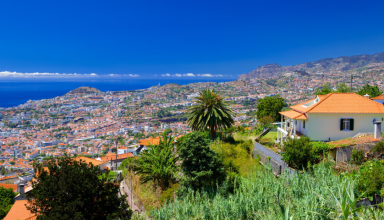 A Eterna Pérola do Atlântico: O Melhor da Madeira em 5 Dias #2