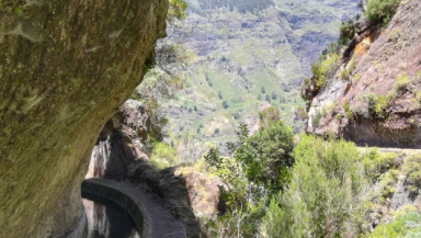 Passeio por Levada Serra D’Água na Madeira!